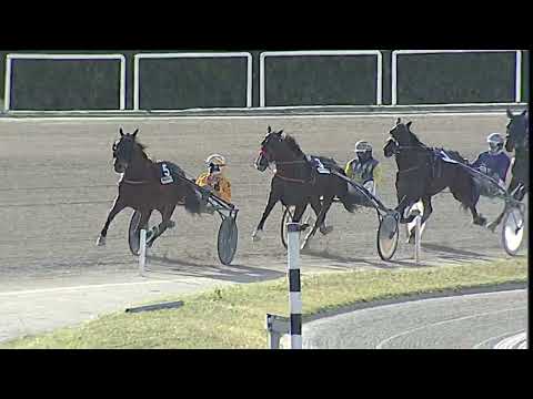 Napoli Trotto 14/04/2023 - 7ª corsa