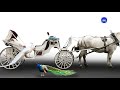 Beautiful Images Of Horse Cart TTC 01