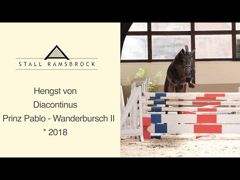 Nr 36 Diacontinus x Prinz Pablo