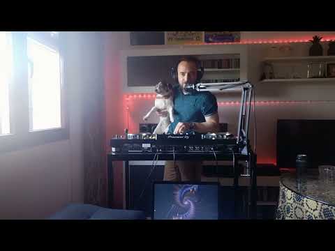 Summer Session 2022 by PAIN-X [Progressive House, Techno, Hard Techno & UK HArdcore]