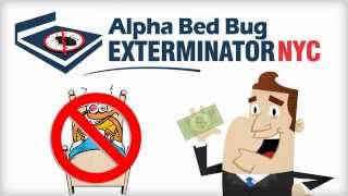 Bed Bugs NYC Removal! Best Bed Bug Exterminator NYC