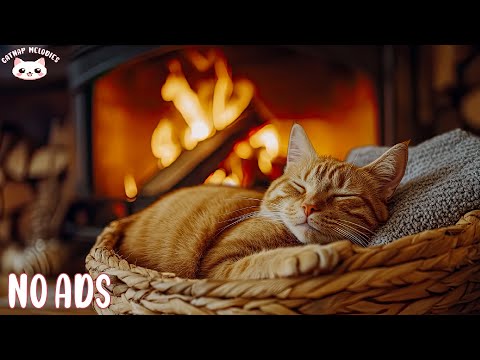 Calming Music for Nervous Cats 🐈 Soothing Sounds for Stress Relief, Sleep, and Emotional Comfort
