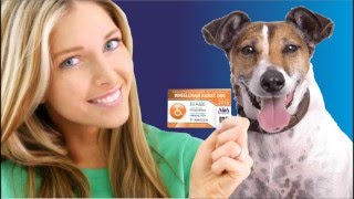 ADA SERVICE DOG REGISTRY VIDEO