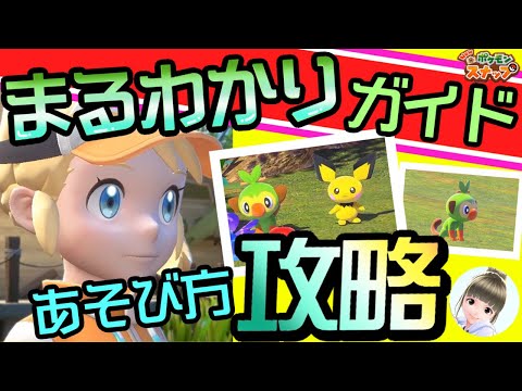 New ポケモンスナップ Web動画 World of Wild Pokémon - Lentil Region -
