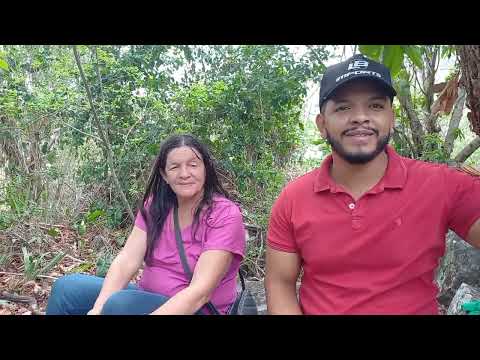 Estauta de São francisco na vila franciscana de frei Damião em quebrangulo al 2026