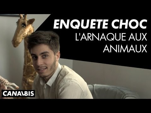 Enquête choc : l'arnaque aux animaux - CANAL BIS