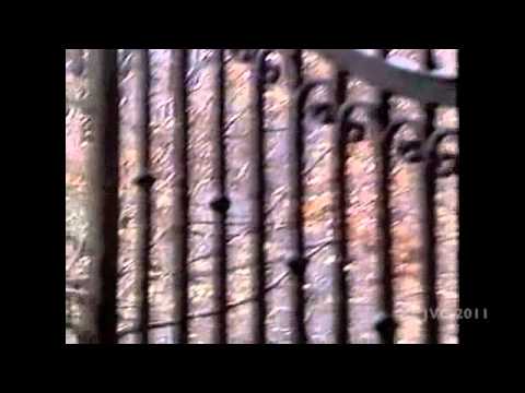 WTXF-TV FOX 29 Philadelphia Community Update (1999)