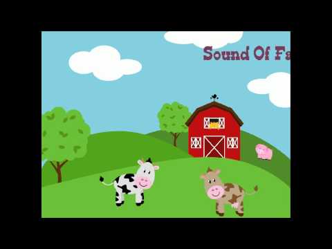 Farm Animal Sounds Video
