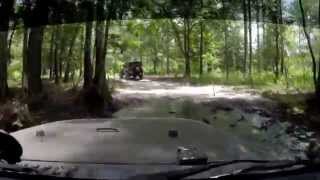 preview picture of video '2014 Jeep Wrangler Unlimited Willy's Wheeler Going Through Swamp In Richloam, FL'