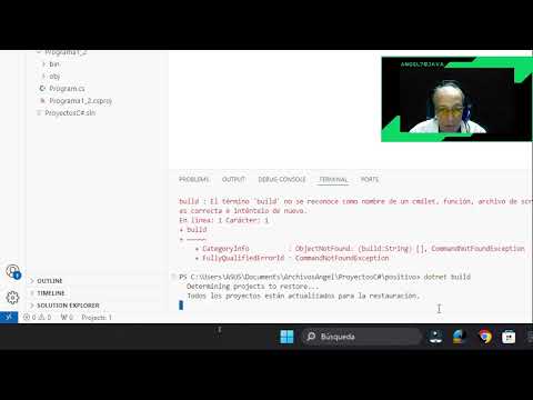 Determinar si un Número es Positivo, Negativo o Cero - Análisis, Alg, Flujo y Programación en C#