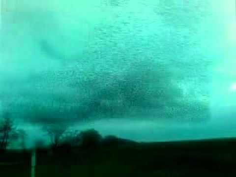 YouTube video about: How do birds act before a storm?