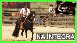 Miniatura do vídeo