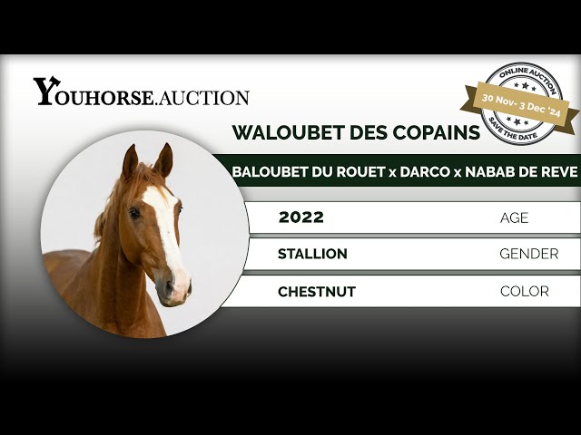 Waloubet des Copains