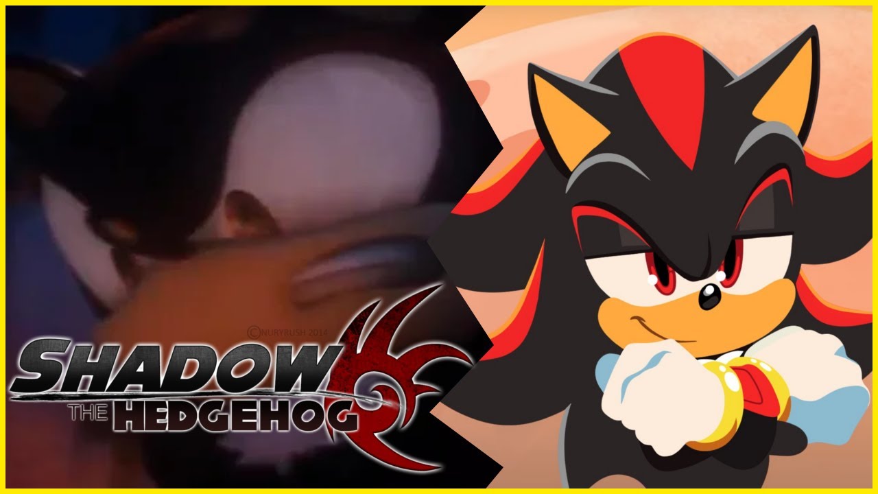 Shadow the Hedgehog BUT everytime you donate you could SAVE the world or DESTROY it!