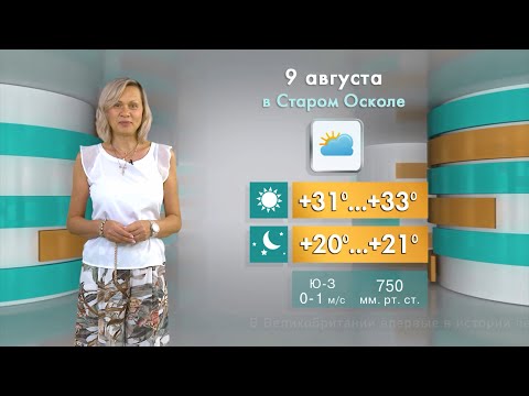 Прогноз погоды в Старом Осколе и Губкине на вторник, 9 августа