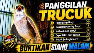 Download lagu TOP TERAPi !! TRUCUKAN GACOR MEMANGGIL || pancingan, masteran terbaik untuk trucuk dan burung lainya mp3 Download lagu TOP TERAPi !! TRUCUKAN GACOR MEMANGGIL || pancingan, masteran terbaik untuk trucuk dan burung lainya mp3