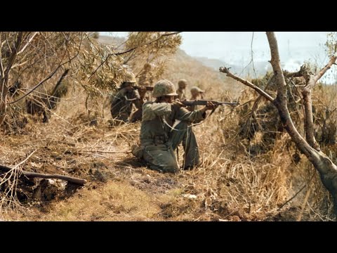 Why U.S. Marines Let 4,300 Japanese Troops “Charge Their Artillery” — And Annihilated All Of Them