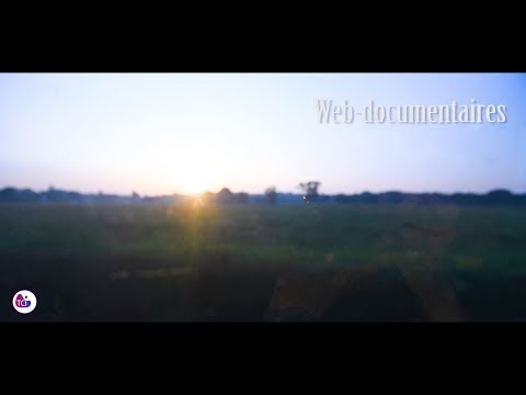 Thiscoveris - Web-Documentaries - Who are we?