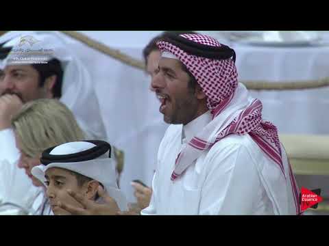 N.184 SIMEON SBEDEE - 2019 Qatar Nat. Peninsula show - Stallions 7+ Years Old (Class 11-12) .mp4