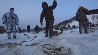 Клев корюшки в де кастри 6 января