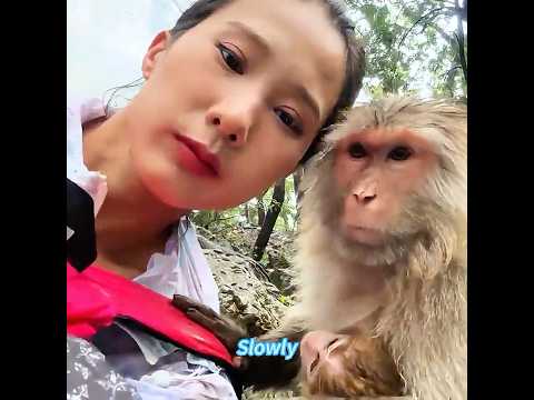 She Wasn’t Allowed Near the Baby Monkey… Until One Day ❤️🐒#shorts #monkey