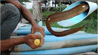 Download lagu AMAZING EEL TRAP - Catching Eels In Cambodia - Catch Eels In My Village mp3