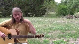 le petit gars - Francis Cabrel - cover