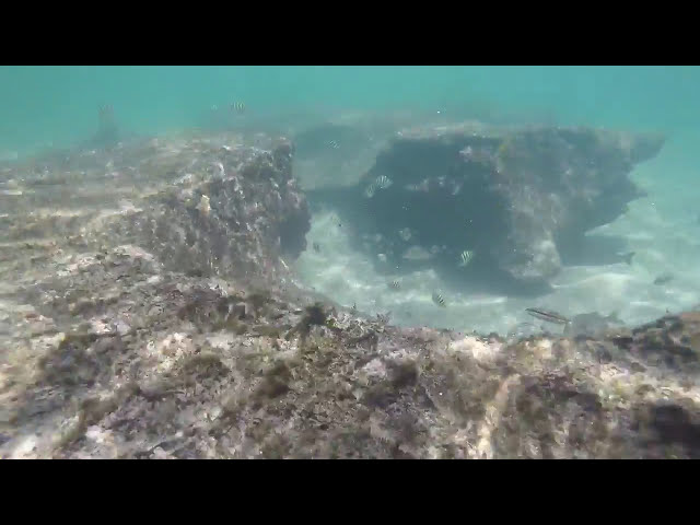 Snorkeling backside bathtub beach reef Florida