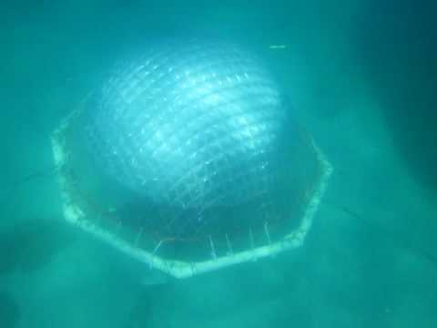 The Underwater Bubble Room - Wide exterior