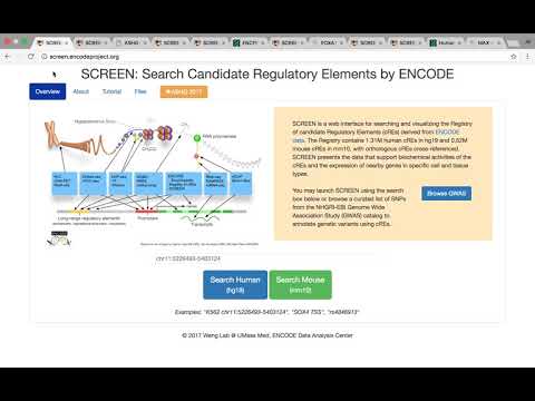 Solutions to Exercises Using SCREEN - Jill Moore