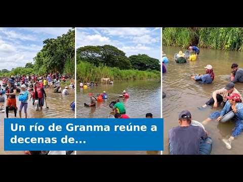 VIDEO: Un río de Granma reúne a decenas de buscadores de oro en una actividad completamente ilegal