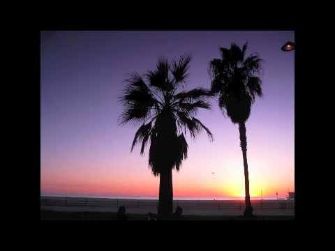 Josh Wink - Jus Right