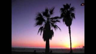 Josh Wink - Jus Right