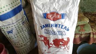 Чем заменить сухое молоко в кентерои
