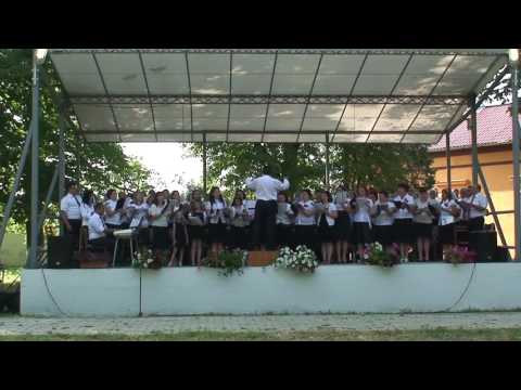 Cor Extenso - Ferice sunt, Isuse