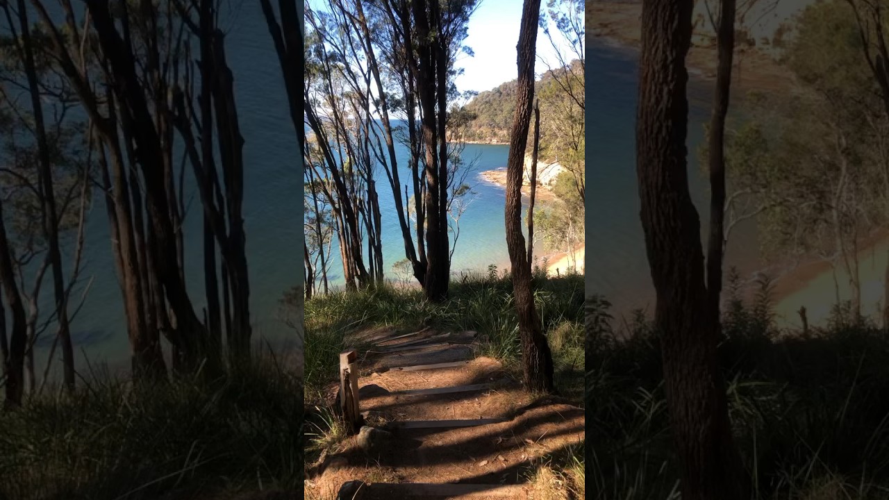 YouTube Short thumbnail