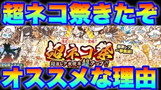 超ネコ祭ガチャオススメな理由　#にゃんこ大戦争　【オレンジチャンネル】