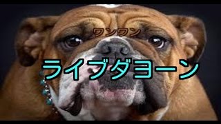 タムッチライブ
