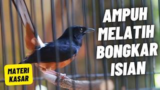 Download lagu MURAI BATU GACOR FULL ISIAN TEMBAKAN KASAR SANGAT AMPUH UNTUK MELATIH MURAI BATU EMOSI BONGKAR ISIAN mp3 Download lagu MURAI BATU GACOR FULL ISIAN TEMBAKAN KASAR SANGAT AMPUH UNTUK MELATIH MURAI BATU EMOSI BONGKAR ISIAN mp3