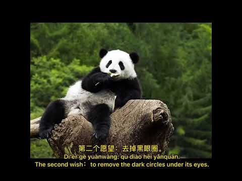 熊猫 Xióngmāo