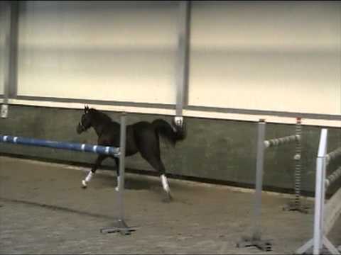 Oosteinds Ricky beim Freisspringen!