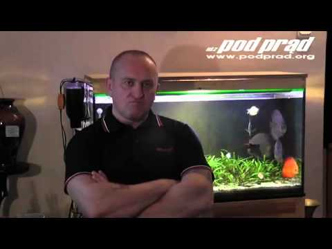 Marian Kowalski o atakach Antify na ONR i rocznicy Tragedii Smolenskiej