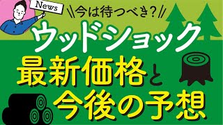 ウッドショック最新価格と今後の住宅価格推移の予想