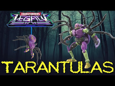 ALONG CAME THE BEST SPIDER EVER!!! | Legacy Tarantulas | Video Review