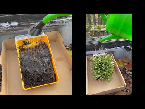 Der Wald schützt vor Bodenerosion - Ein Experiment