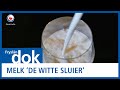 FRYSLÂN DOK: Melk 'de witte sluier'