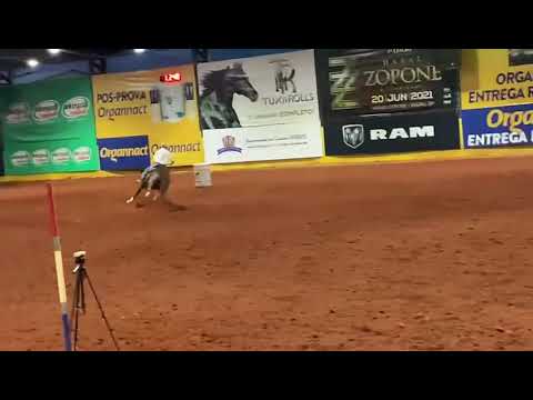 Recorde Mundial de Três Tambores