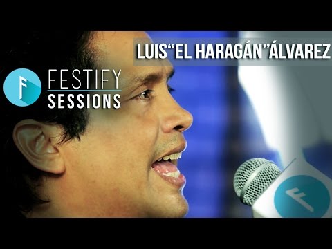 download lagu mp3 mp4 Festify, download lagu Festify gratis, unduh video klip Festify