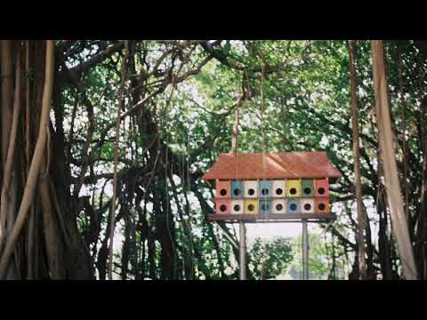 This Old House - Priscilla Ahn
