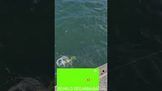 Fishing|Time|Fish Seeker